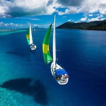 asdko8931's profile picture. はまやらわ