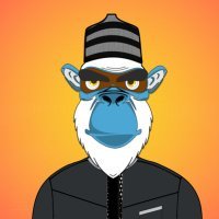 debasisroypram4's profile picture. The Afrikong is an nft collection of AfriKong’s dressed in their “native attire”. join the community: htt ps://linktr.ee/afrikongnft