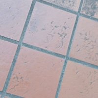 bl (@robbarb80870160) 's Twitter Profile