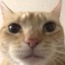 galliumtv (@galliumtv) Twitter profile photo galliumtv (@galliumtv) Twitter profile photo