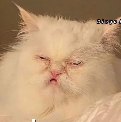 LuzzAguayo's profile picture. 