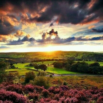 madoro68's profile picture. It's all about balance....also RT's are not necessarily endorsements, sometimes they are just to inform. 🚫DM'S🚫P@RN.