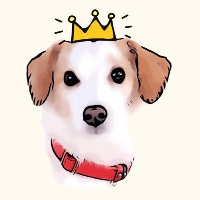 ドギゴー 兵庫犬とおでかけ Doggygoout Twitter