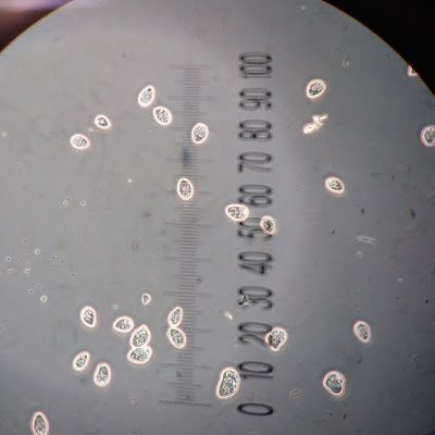 EdwardD16297894's profile picture. 