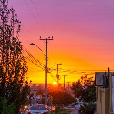 alcachofa24's profile picture. Me gusta la fotografia, y tengo 2 gatos