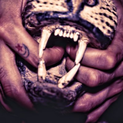 AAeditions's profile picture. Here to seduce you .