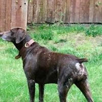 Donna Mae (@donnama88436140) 's Twitter Profile