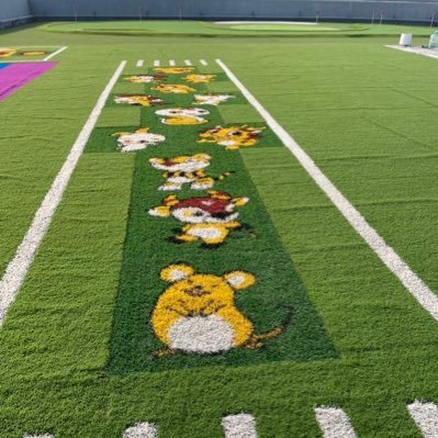 Top 3 Artificial grass manufacturer in Global market  FIFA License WeChat:0086 13533638004