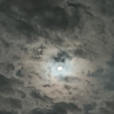 Cricket39012218's profile picture. 🎧