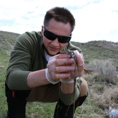 Amphibian researcher studying frog populations and the diseases that afflict them