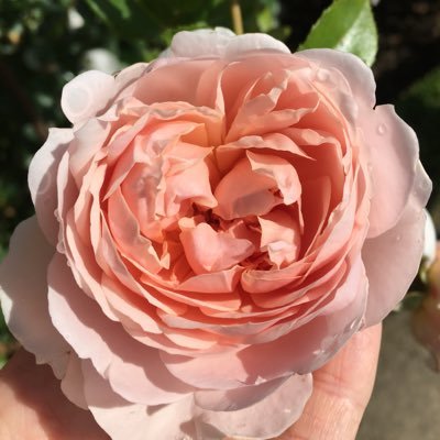 MsEGriffiths389's profile picture. All views are my own.