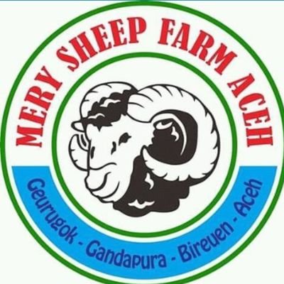 peternakan domba dan kambing aceh