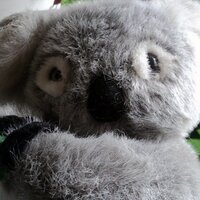 jacksonbms (@jacksonbms) 's Twitter Profile