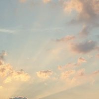 チョコ (@m84deas7dzr5pnr) 's Twitter Profile Photo