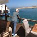 Moulay Lablih (@moulay_lablih) Twitter profile photo Moulay Lablih (@moulay_lablih) Twitter profile photo