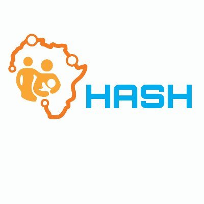 A Hub for Artificial Intelligence in Maternal, Sexual and Reproductive Health (MSRH) in Sub-Saharan Africa (HASH)