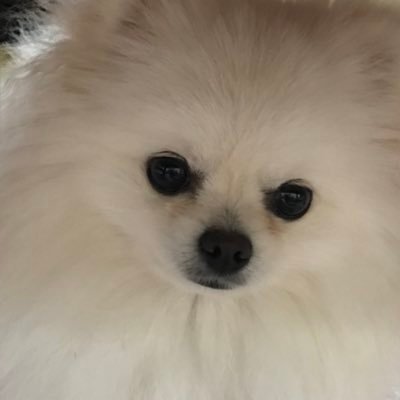 MrMK1343969's profile picture. ラーメン時々etc 記録用、限定情報収集用、第2章は細く永く……🍜尋常性乾癬十数年生。