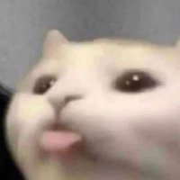 Guapic (@satoshinakaguap) 's Twitter Profile Photo Guapic (@satoshinakaguap) 's Twitter Profile Photo
