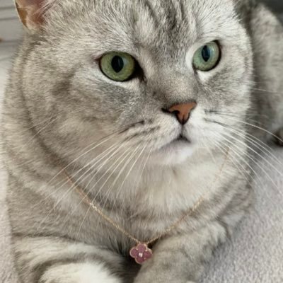 Uncle763189251's profile picture. 