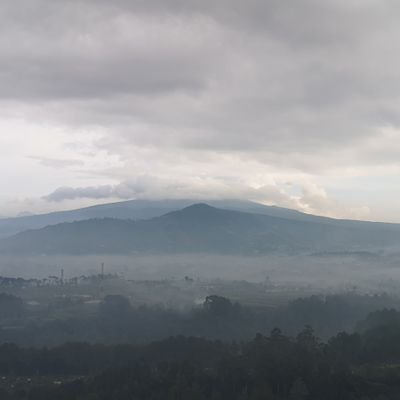 dian_herlina's profile picture. 