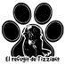 El Refugio De Tizziano (@refugiotizziano) Twitter profile photo El Refugio De Tizziano (@refugiotizziano) Twitter profile photo