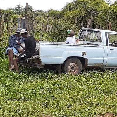Director@MBros suppliers (PTY) LTD
Automotive maint and repairs🚙
Agri services 🚜
Transport services 🚛
Accommodation🏡
0723276716 📞