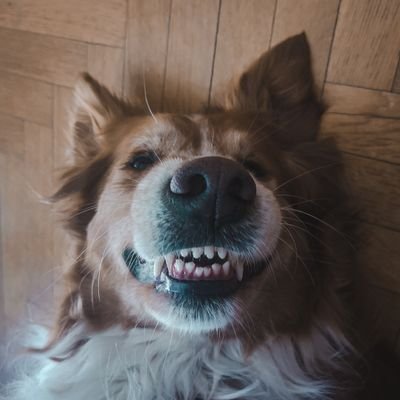 virgipdp's profile picture. Descubridora de cosas