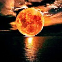 Shinning Star (@absolutetrue2me) 's Twitter Profile Photo