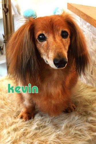 Mao801's profile picture. 大阪→東京/明治大学経営学部会計学科