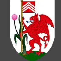 Cryptodragonmining (@cryptodragonmi1) 's Twitter Profile