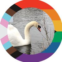 UCDVetEDI(@UCDVetAthSWAN) 's Twitter Profileg