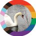UCDVetEDI (@ucdvetathswan) Twitter profile photo UCDVetEDI (@ucdvetathswan) Twitter profile photo