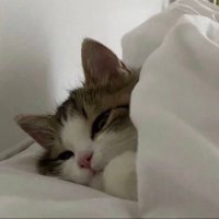 ๐ ์ฝ๋ฅ๐ก๐บ (@watersiz) 's Twitter Profile