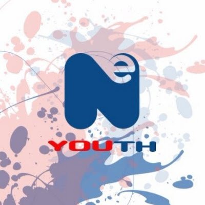 NE Youth Profile