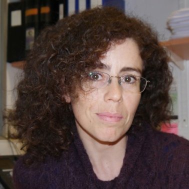 The @Peduto_lab studies the role of #stromal niches in #inflammation, #tissuerepair, #stemcells and #tumormicroenvironment