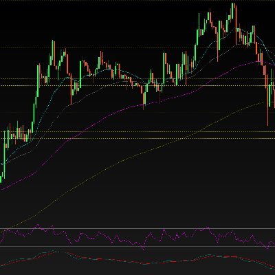 MASOUD73965921's profile picture. EGLD TRADER