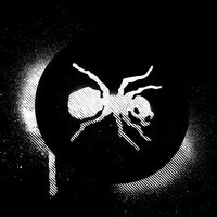 mrav_81🐜 (@mrav_) 's Twitter Profile