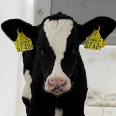 herikutsuyou's profile picture. 屁理屈しか言いません 全てにわかです