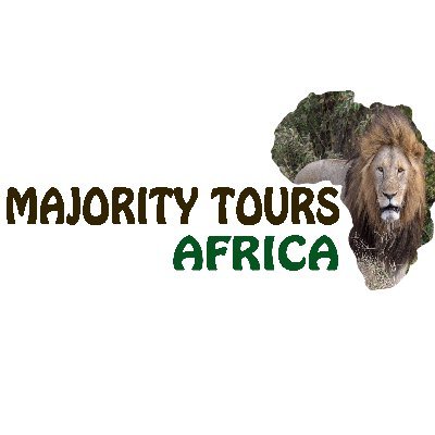 we are the best company in provision of tourism services in Tanzania especially wildlife safaris,kilimanjaro climbing,caltural tours and beach holiday .