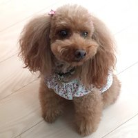 nico mayu (@nicomayujam) 's Twitter Profile Photo nico mayu (@nicomayujam) 's Twitter Profile Photo