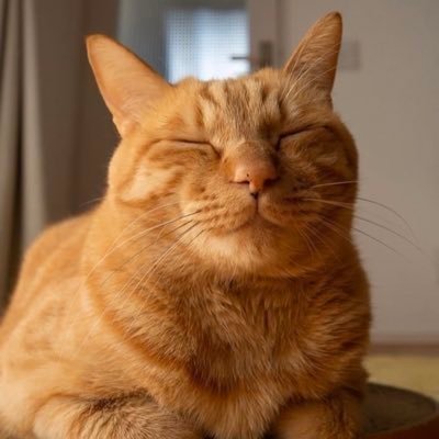 p_coutor's profile picture. soy un hombre sencillo y ambicioso