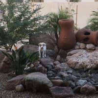 Mary l (@blml2701) 's Twitter Profile