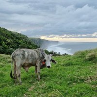 Earth Justice and Stewardship Chair (@earth_chair) 's Twitter Profile
