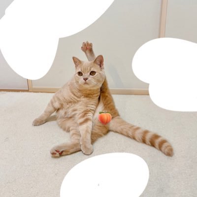boooさんのプロフィール画像
