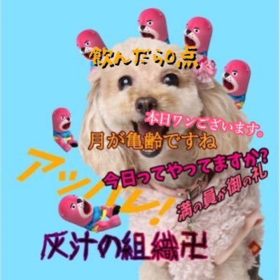 Yumi@愛犬ぴかとのんびりLifeさんのプロフィール画像