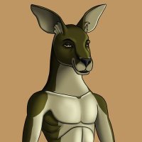 AlgoKangaroo (@algokangaroo) 's Twitter Profile