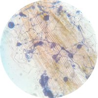 Field Lab (@field_lab_uos) 's Twitter Profile