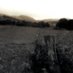 Caminos que no llevan a ningún sitio (@f16822790) Twitter profile photo Caminos que no llevan a ningún sitio (@f16822790) Twitter profile photo