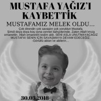Basak(@BasakSabri1) 's Twitter Profile Photo Basak(@BasakSabri1) 's Twitter Profile Photo