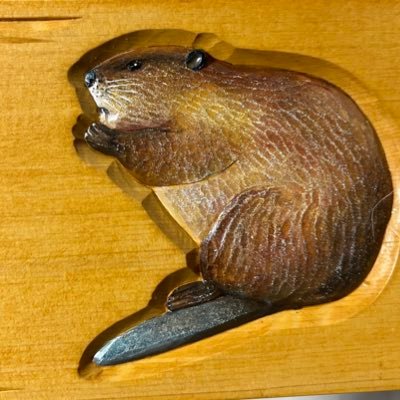 森の建築家さんのプロフィール画像
